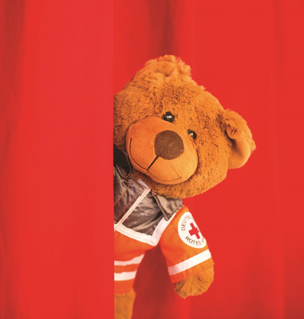 Bild: Ein DRK-Teddybär schaut aus einem Vorhang heraus.